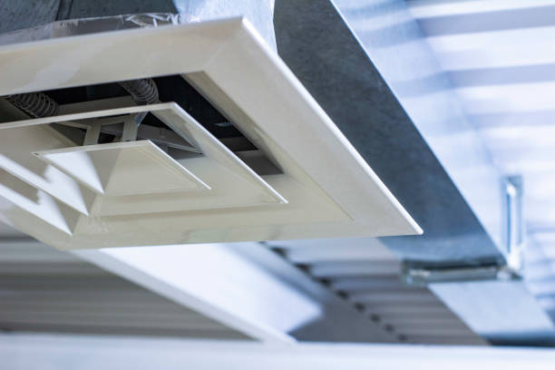 Best Duct Cleaning for Homes  in Wheaton, MN